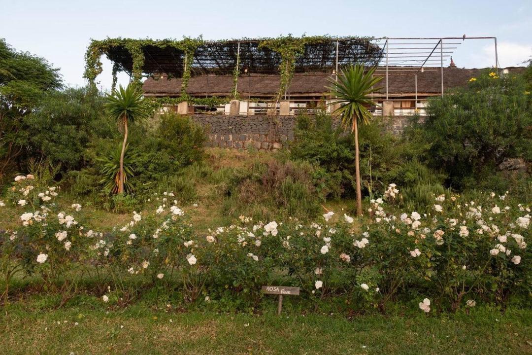 Photo of Outdoor in Amhara Region