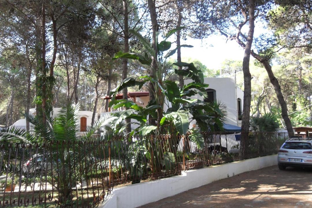 Photo of Others in Castellaneta Marina