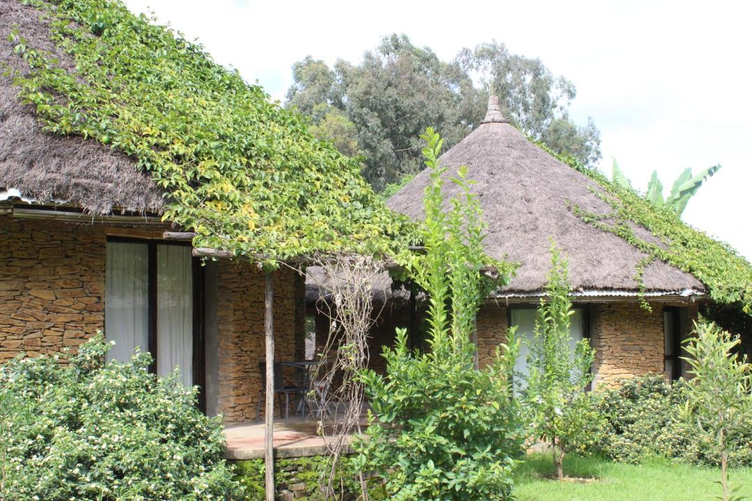 Photo of Buildings in Amhara Region