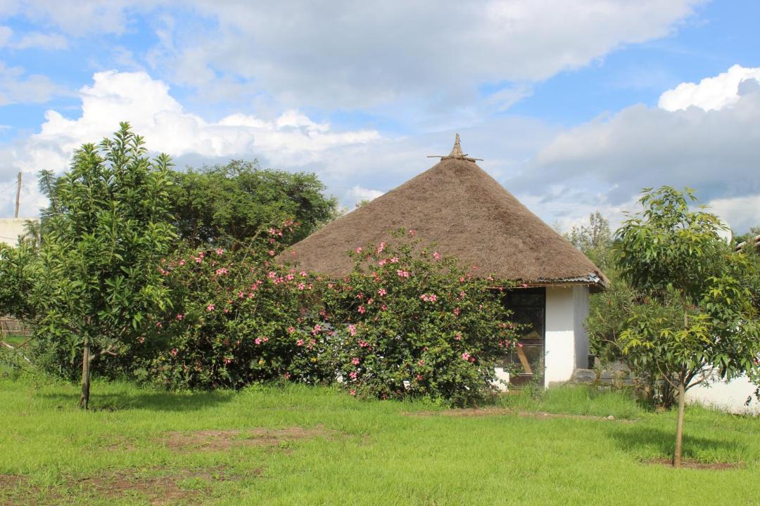 Photo of Buildings in Amhara Region