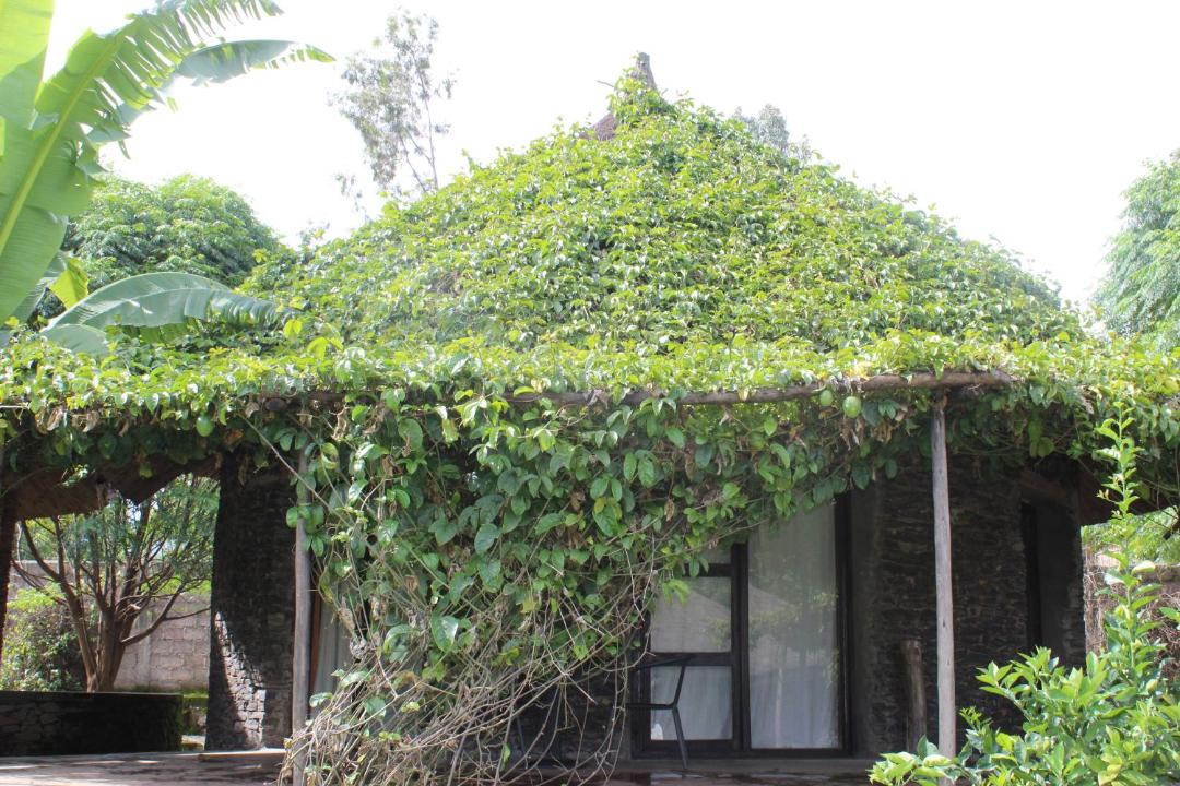 Photo of Buildings in Amhara Region