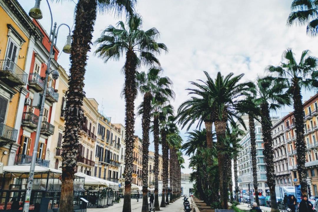 Photo of Buildings in Bari City Centre