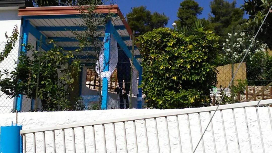 Photo of Others in Peschici