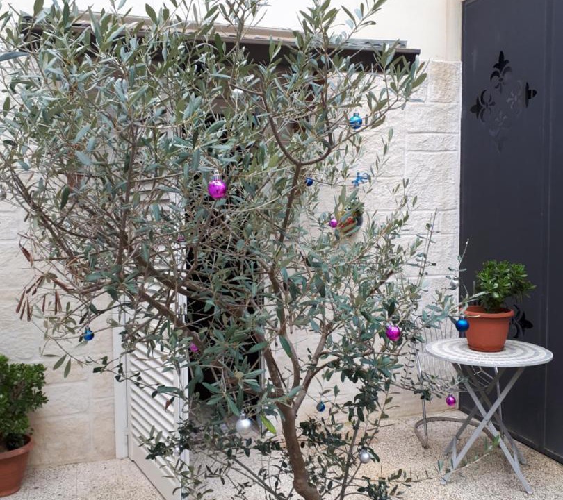 Photo of Others in Lecce
