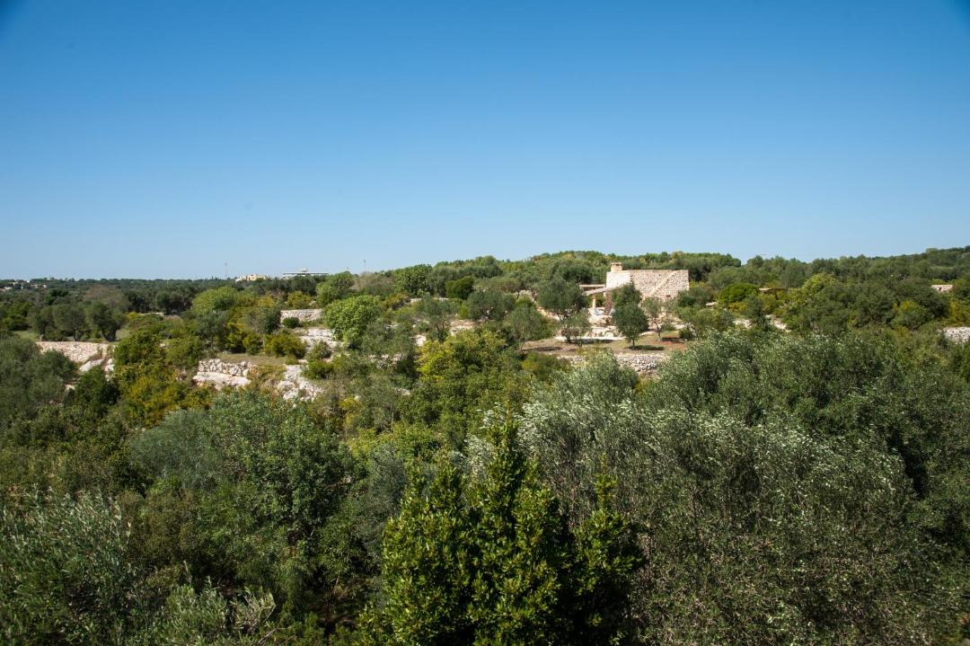 Photo of Outdoor in Marina San Gregorio