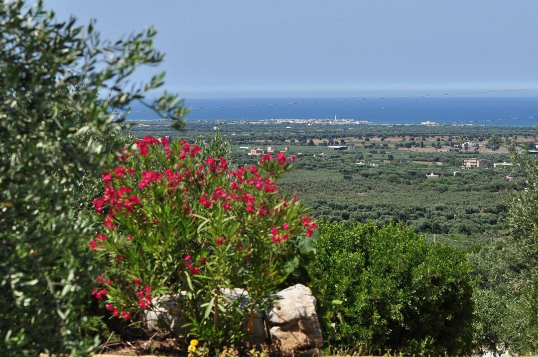 Photo of Outdoor in Fasano