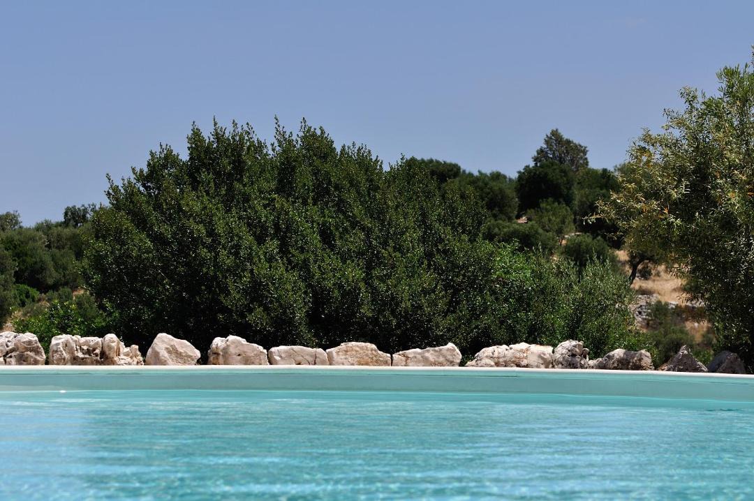 Photo of Others in Fasano