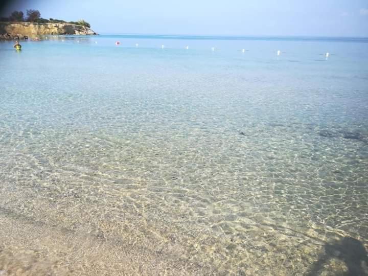 Photo of Others in Taranto