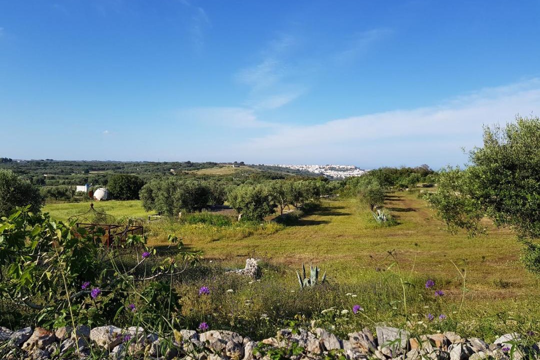 Photo of Outdoor in Tricase