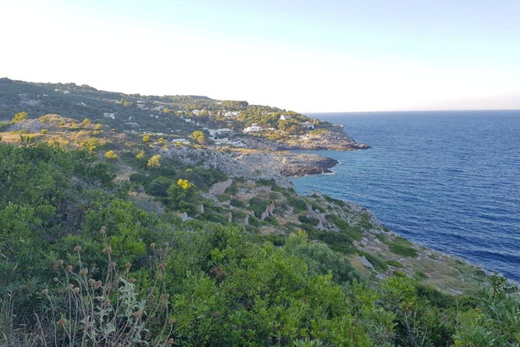 Photo of Outdoor in Tricase