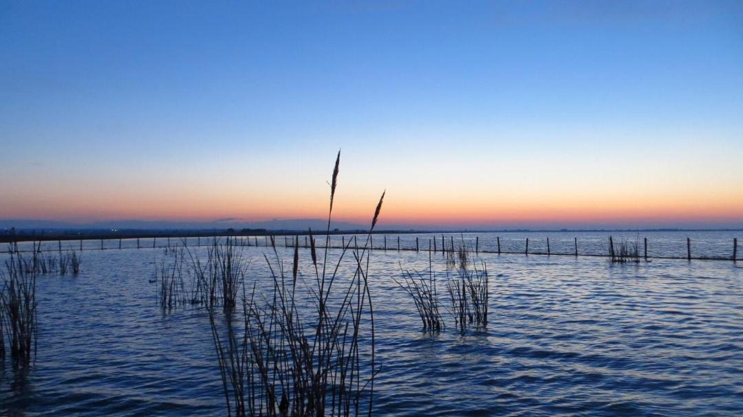 Photo of Others in Lesina