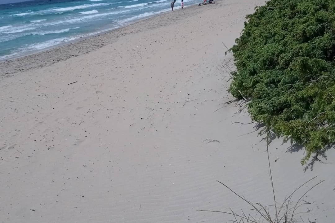 Photo of Outdoor in Tuglie