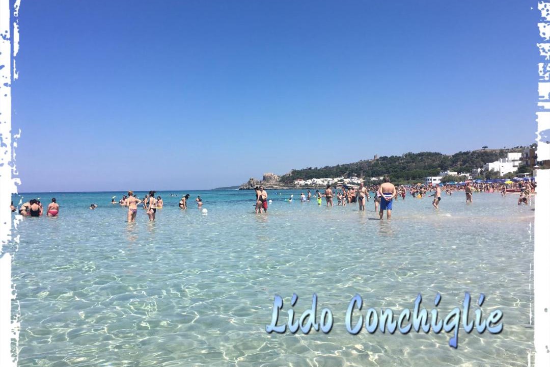 Photo of Others in Lido Conchiglie