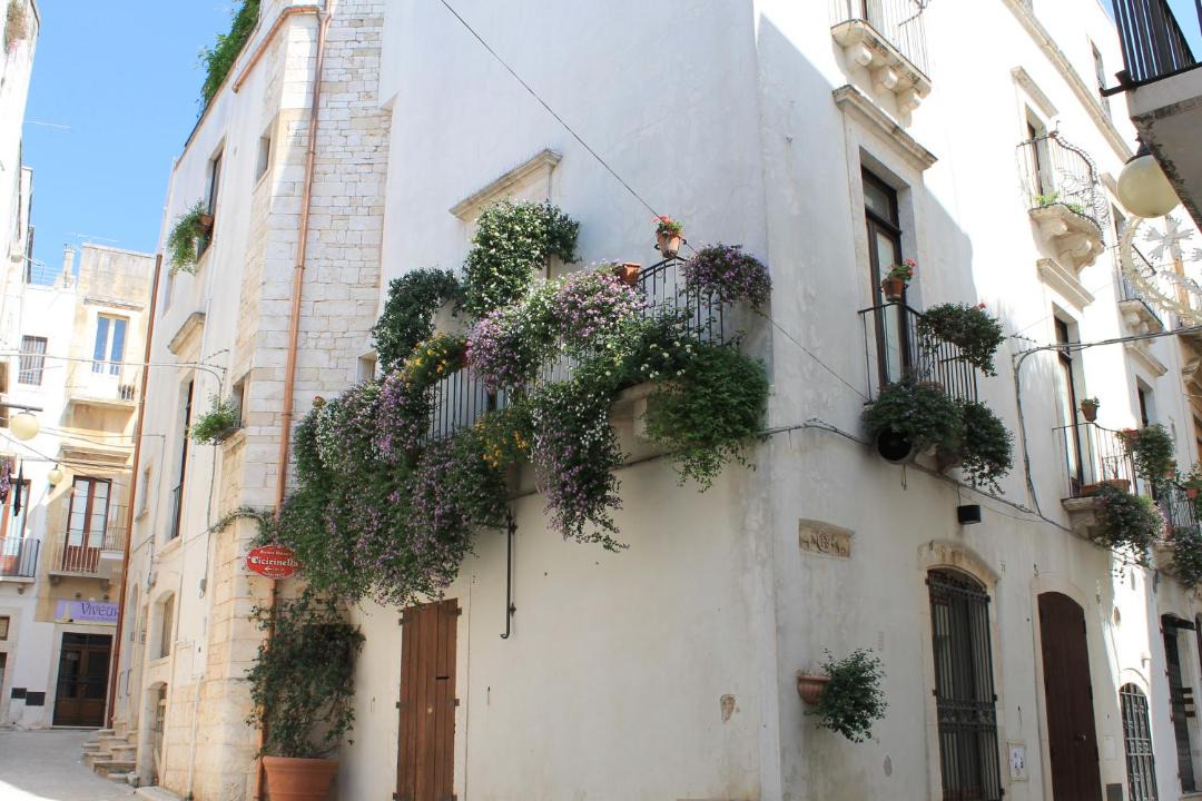 Photo of Buildings in Putignano