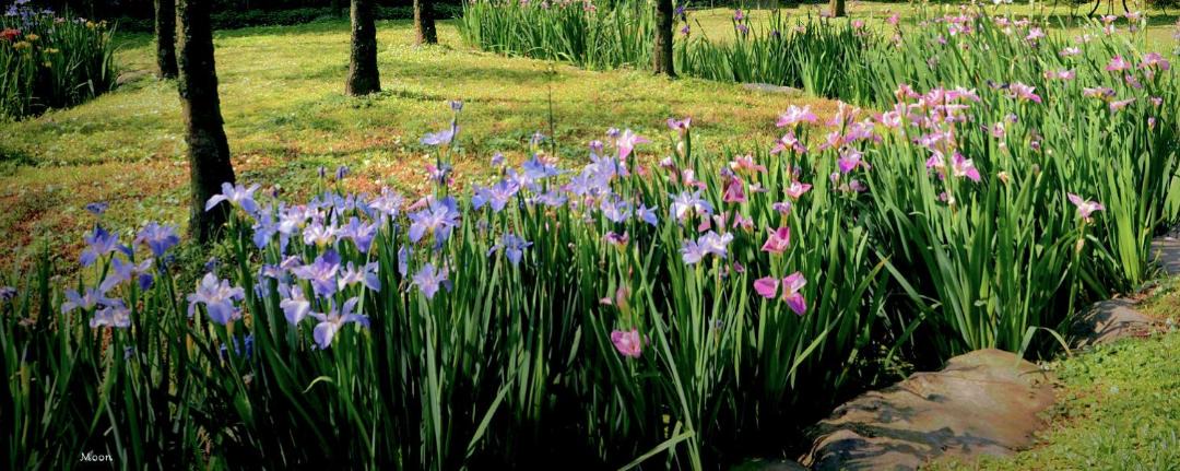 Photo of Outdoor in Sanzhi