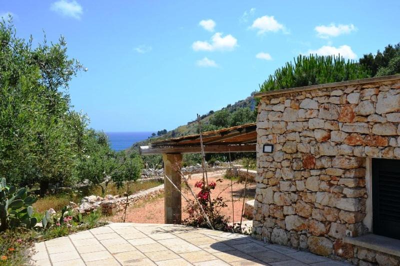 Photo of Others in Marina Serra
