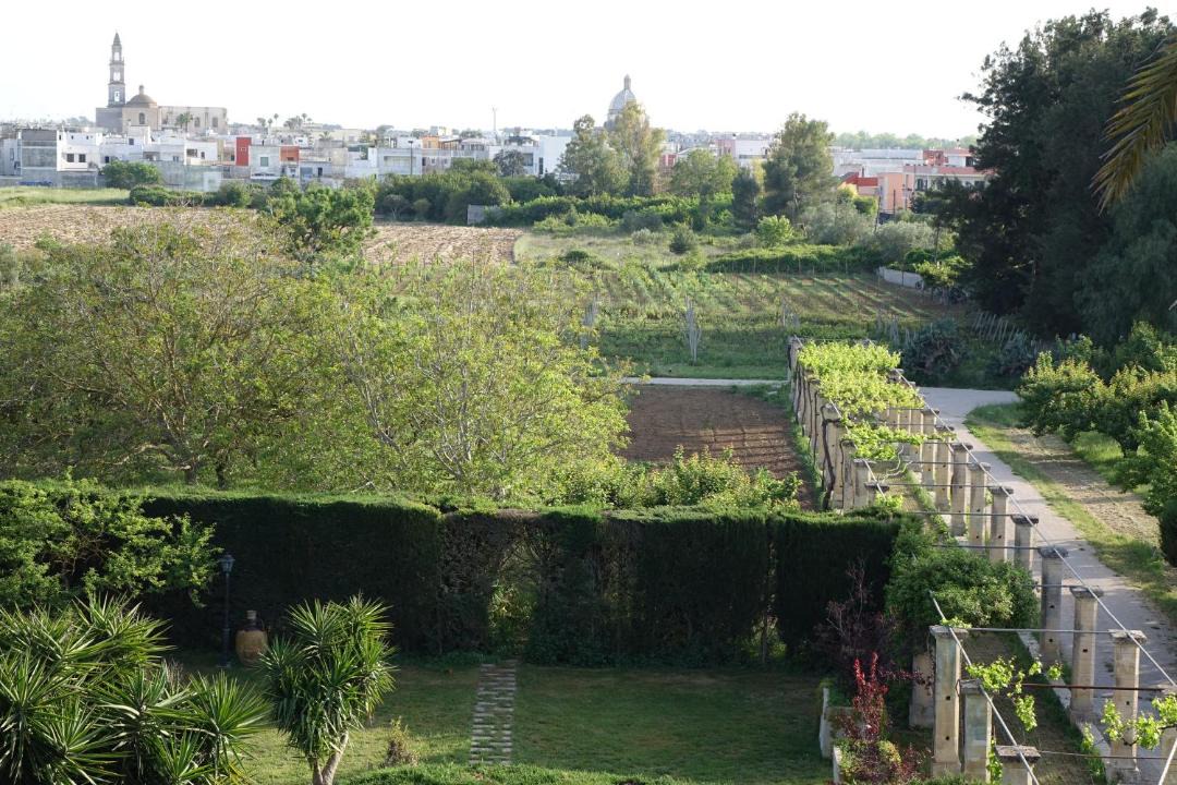 Photo of Others in Castromediano