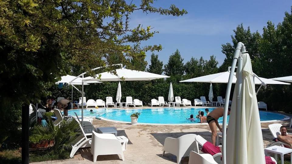 Photo of Others in Troia