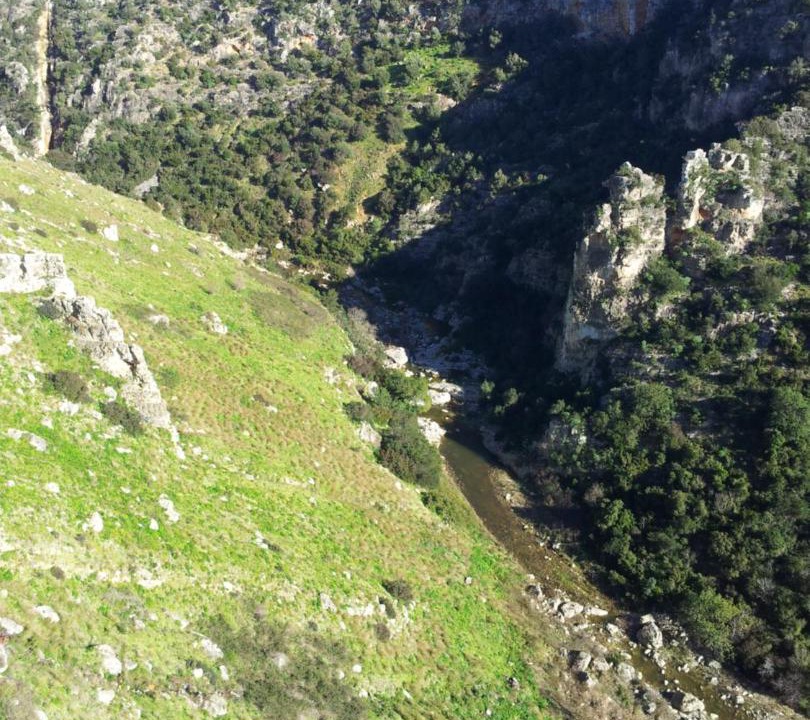 Photo of Others in Castellaneta
