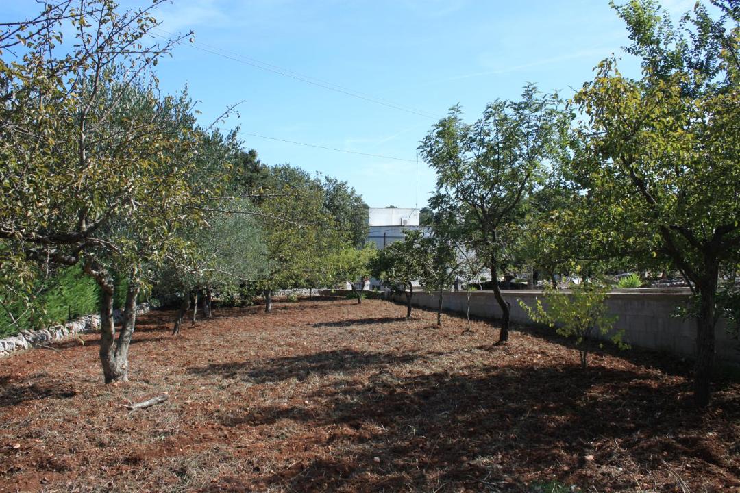 Photo of Others in Locorotondo