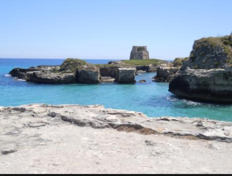 Photo of Others in Torre dell'Orso