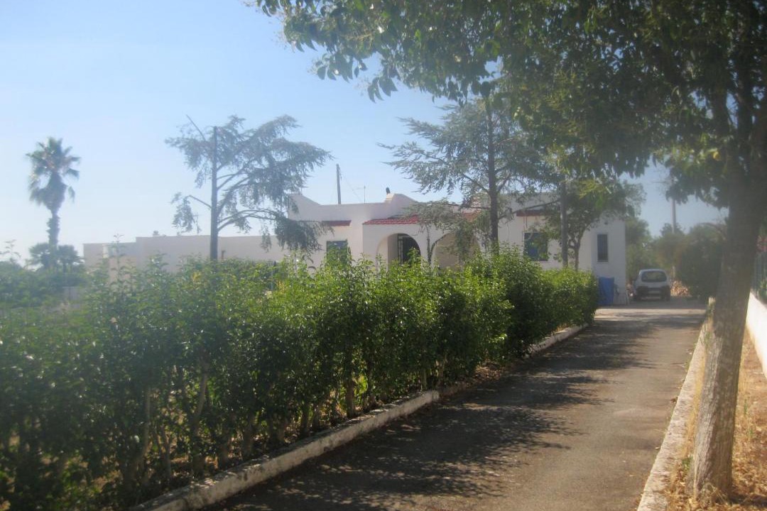 Photo of Others in Ostuni