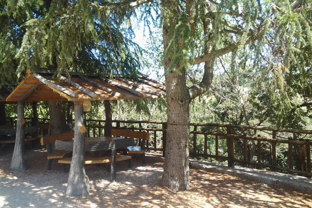 Photo of Others in Mattinata