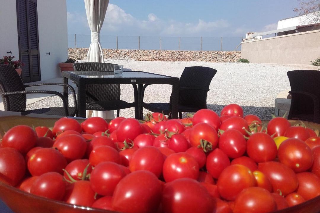 Photo of Others in Torre San Giovanni