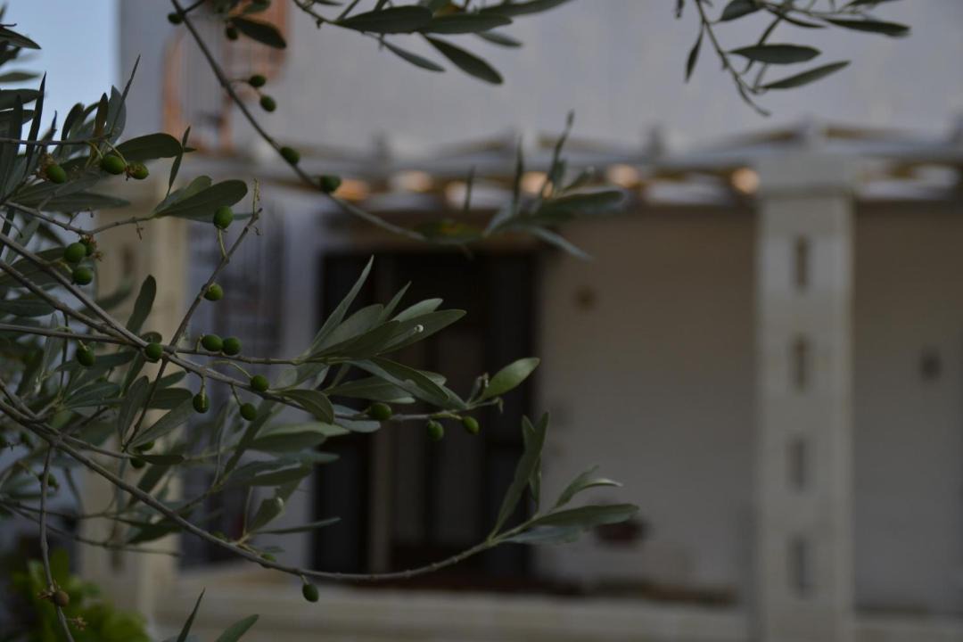 Photo of Others in Ostuni