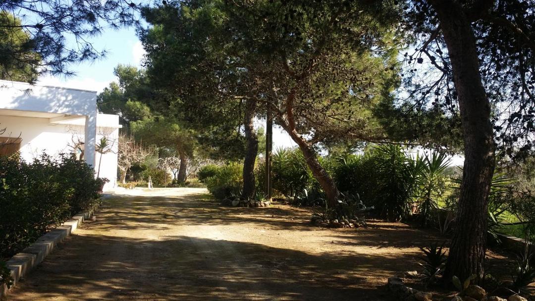 Photo of Others in Avetrana