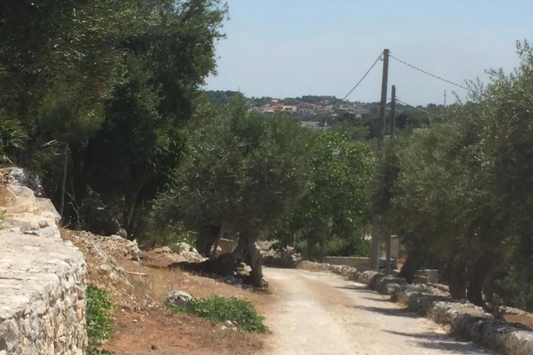 Photo of Outdoor in Ruffano