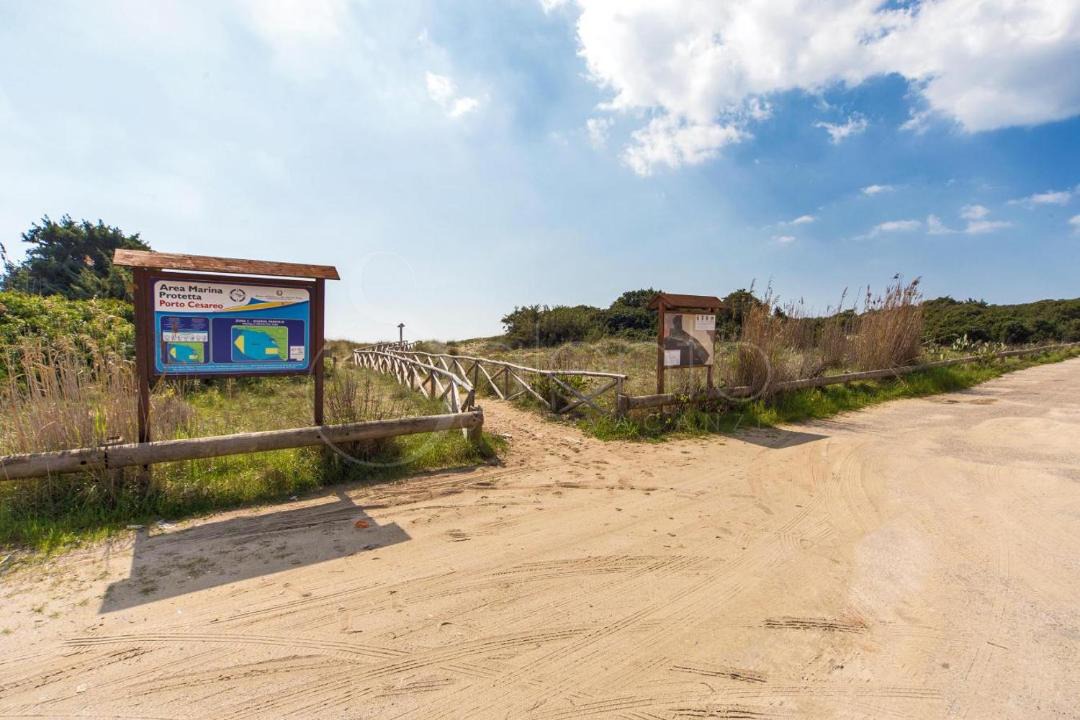 Photo of Others in Punta Prosciutto