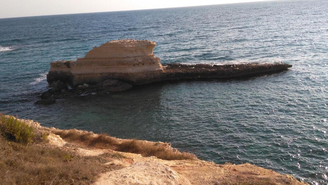 Photo of Others in Sant'Andrea