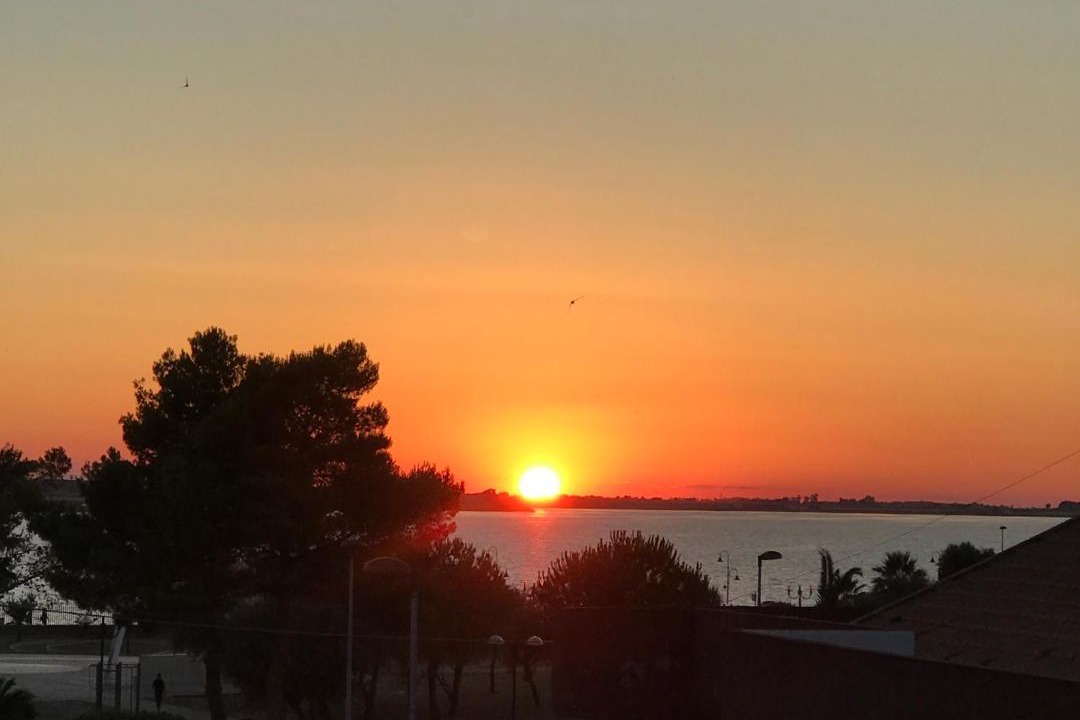 Photo of Others in Lesina