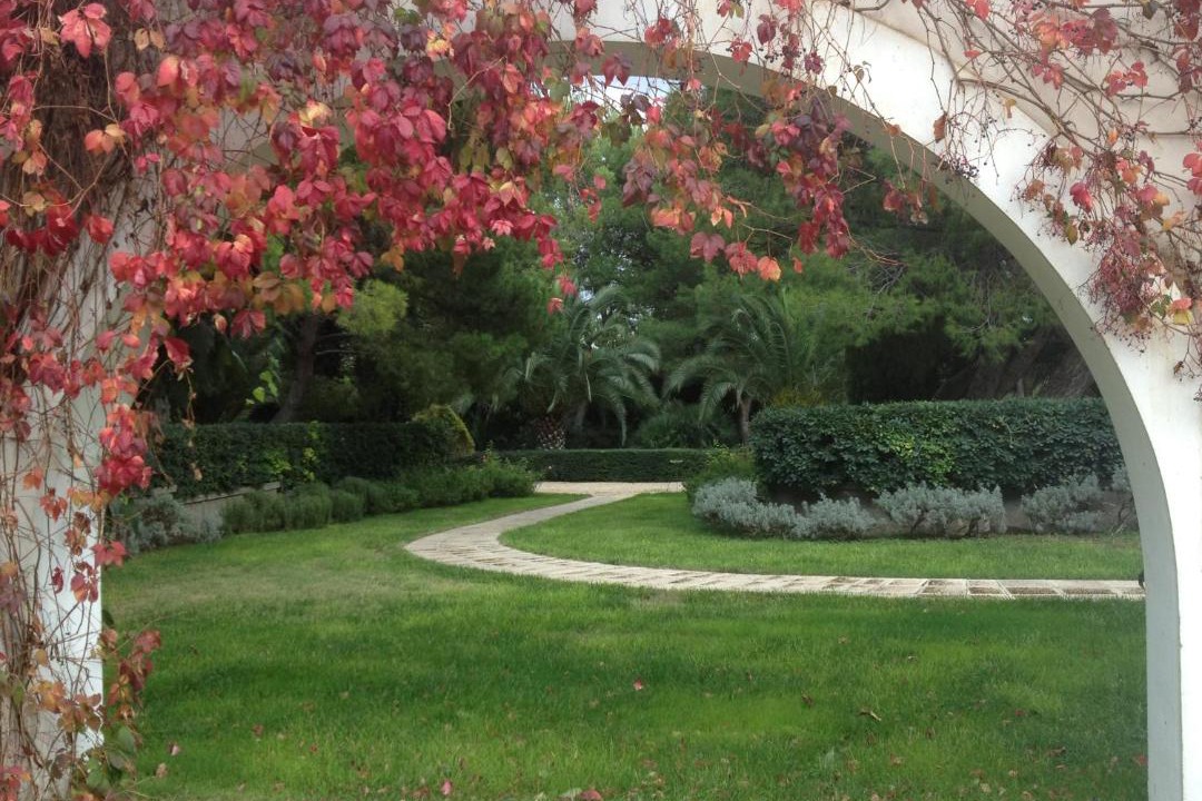 Photo of Others in Foggia