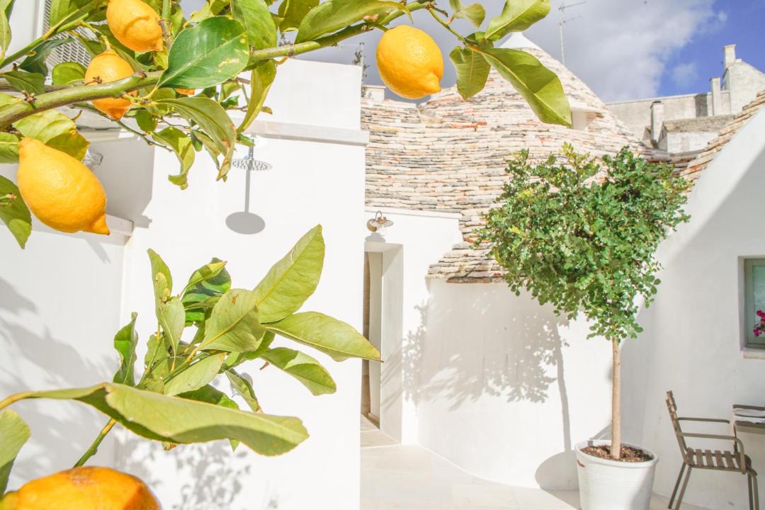 Photo of Others in Alberobello