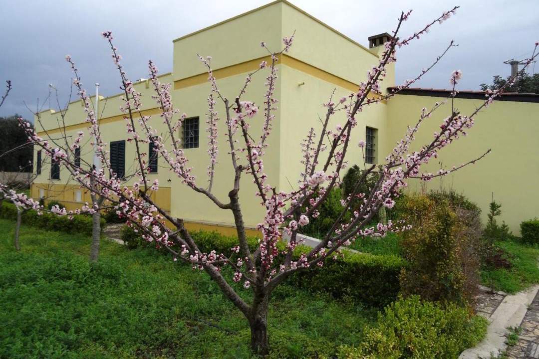 Photo of Others in Casarano