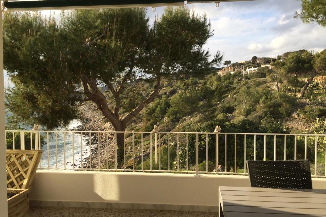 Photo of Others in Marina San Gregorio
