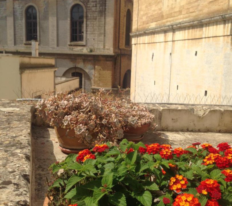 Photo of Others in Lecce Historic Center