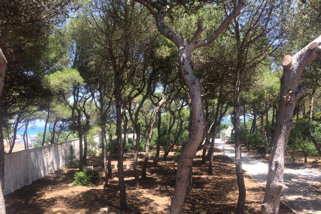 Photo of Others in Torre Specchia Ruggeri