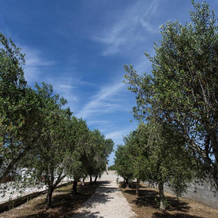 Photo of Outdoor in Lecce