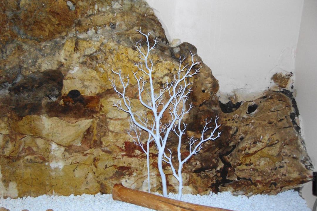 Photo of Others in Montincello