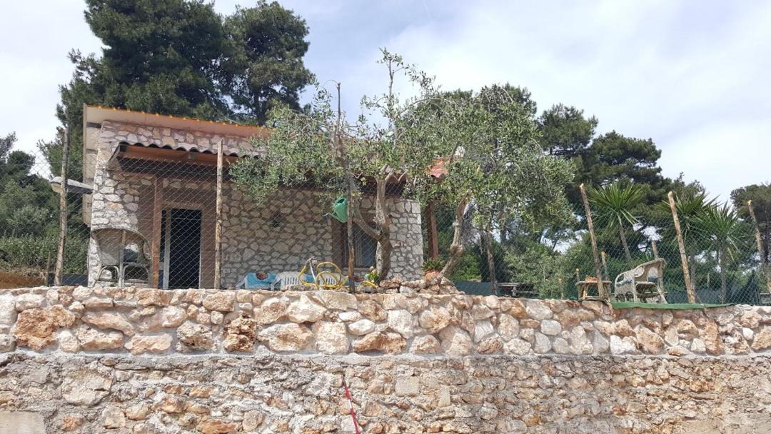 Photo of Others in Peschici