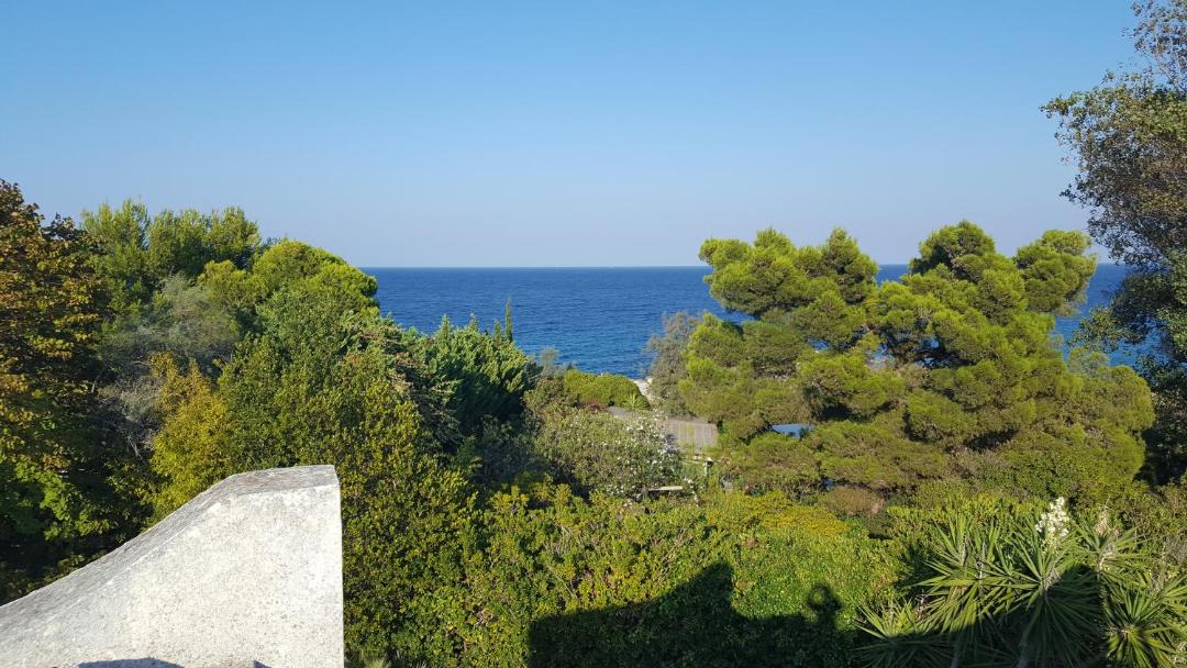 Photo of Others in Otranto