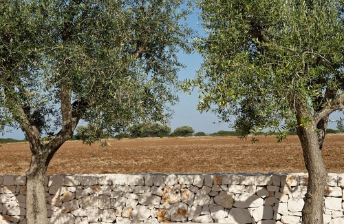 Costa Merlata Hotel | Grand Hotel Masseria Santa Lucia