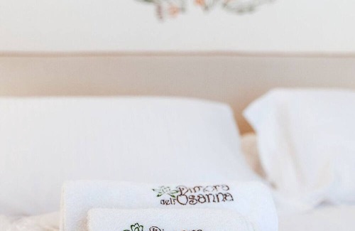 Carovigno Bed & Breakfast | Bed & Breakfast in Carovigno with 1 bedrooms sleeps 3